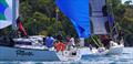 Harcourts Hobart Launceston to Hobart Yacht Race © Colleen Darcey
