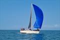 'Drycin Bach' was second on IRC - Cardigan Bay Regatta at New Quay YC © Tilly Andrews