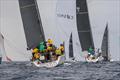 Rolex Middle Sea Race