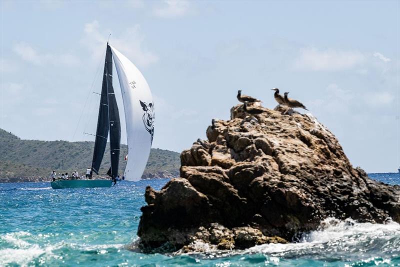 Jim Vos' Reichel Pugh 37 - BVI Spring Regatta & Sailing Festival - photo © Alex Turnbull / Tidal Pulse Media