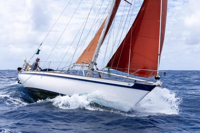 Gary O'Grady's Tradewind 35 Cara of the South - 2025 Antigua Race Week photo copyright Tim Wright - photoaction.com taken at Antigua Yacht Club and featuring the IRC class