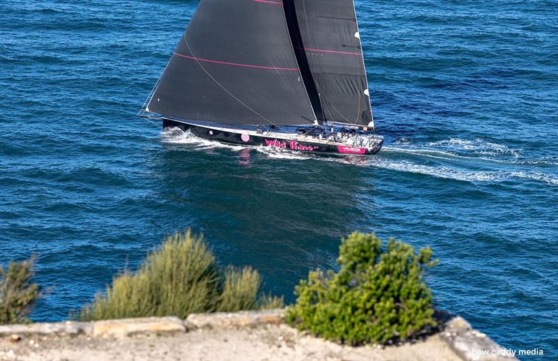 Wild Ting 100 passes North Head - photo © Bow Caddy Media