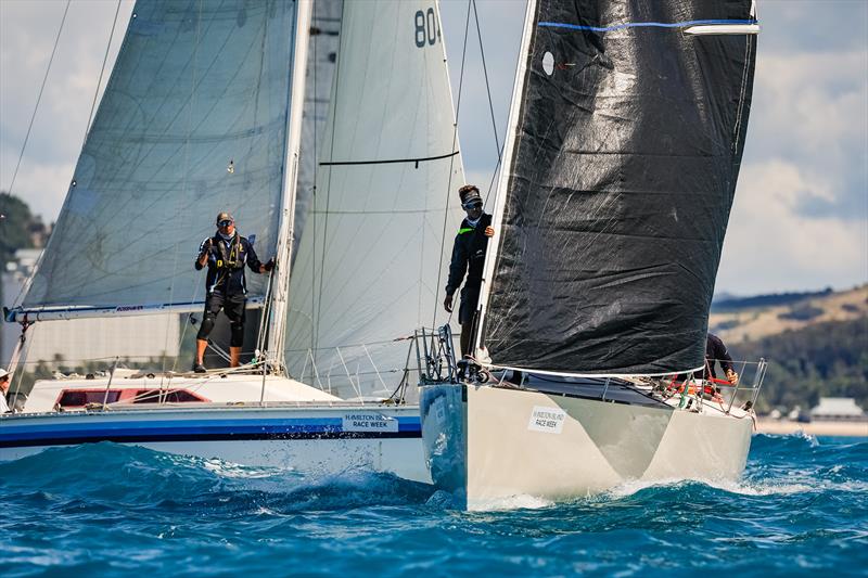 Hamilton Island Race Week 2025 photo copyright Salty Dingo taken at Hamilton Island Yacht Club and featuring the IRC class