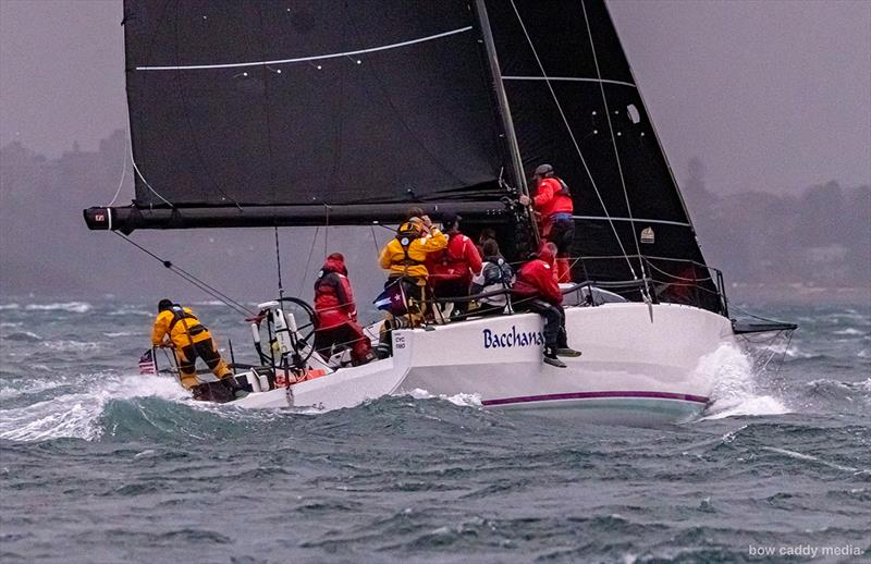 Bacchanal heads down harbour - photo © Bow Caddy Media