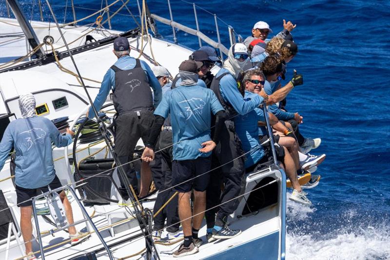 Leopard 3 - photo © Tim Wright / RORC