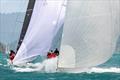 Anarchy could put a cat amongst the pigeons at Airlie Beach Race Week &copy; Andrea Francolini / ABRW