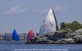 Fleet sneaking out of Narragansett Bay - 2026 Ida Lewis Distance Race