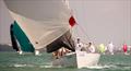 Singapore Regatta 2026 by Changi Sailing Club &copy; Changi Sailing Club