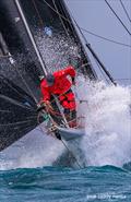 Wild Oats X &copy; Bow Caddy Media