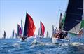 Commodores Cup Passage Race at Sail Port Stephens &copy; PromoceanMedia