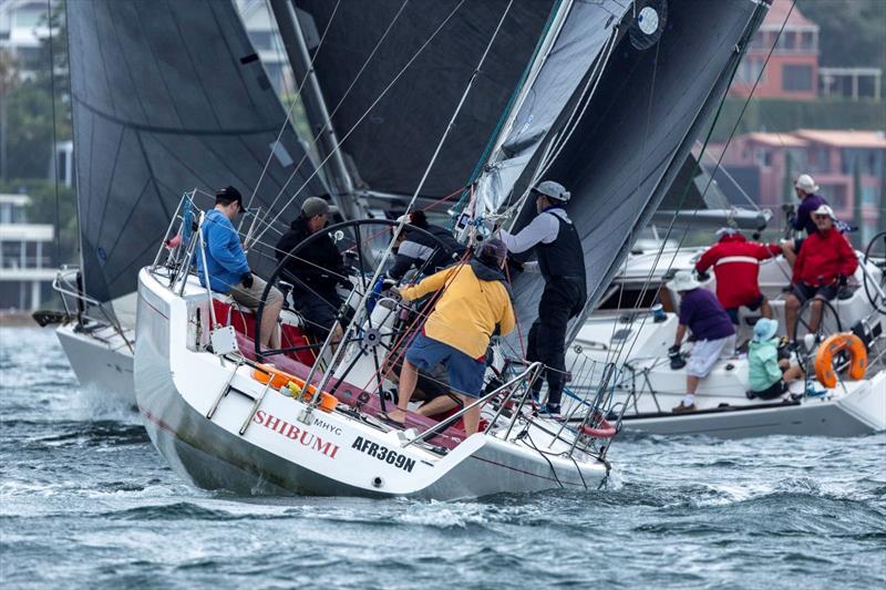 Dog eat dog in the Performance division - Nautilus Marine Insurance Sydney Harbour Regatta - photo © Andrea Francolini / MHYC