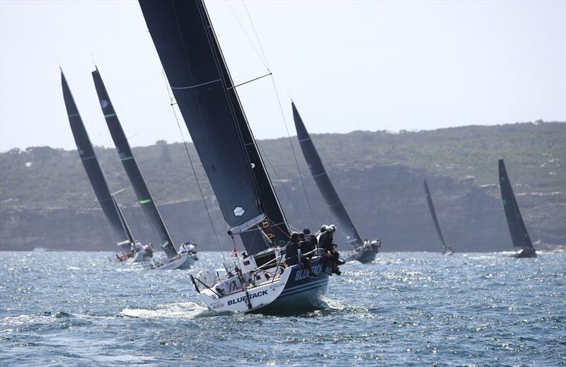 Open Division 2 hard at work - 2026 Nautilus Marine Insurance Sydney Harbour Regatta - photo © Brett Costello