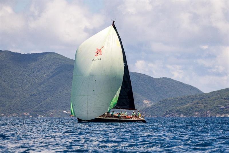 The chartered J120 J-aguar - 2026 BVI Spring Regatta & Sailing Festival - photo © Tidal Pulse / Andrea Azzopardi