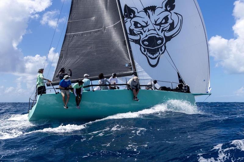 Antigua Racing Cup: RP 37 Warthog - photo © Tim Wright / www.photoaction.com