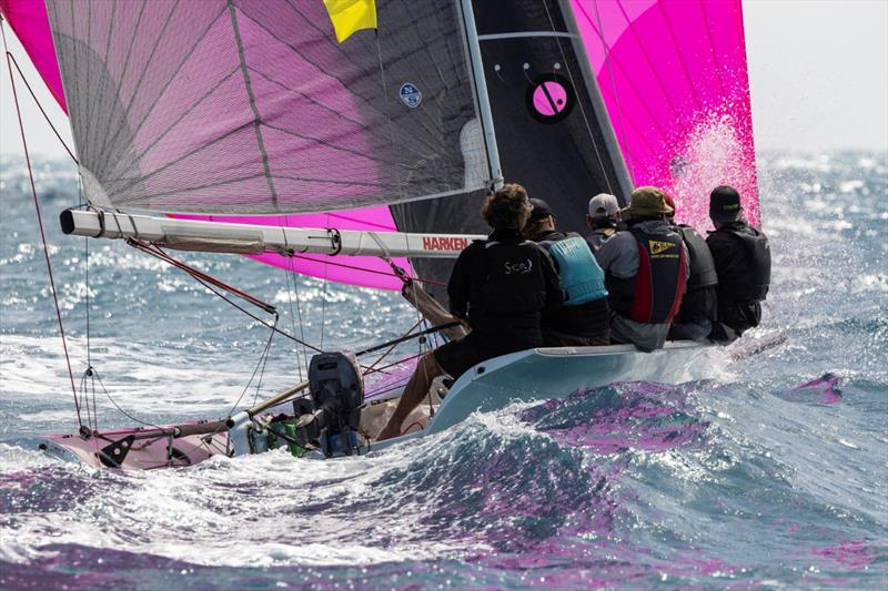 Vivace from the Trailables enjoys ripping around the course - Airlie Beach Race Week - photo © Andrea Francolini / ABRW