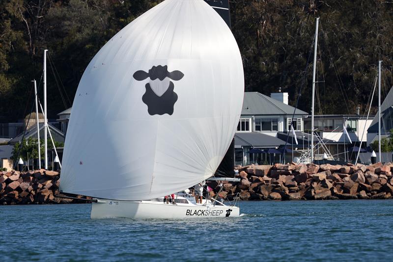 Div 3 winner Blacksheep - 2026 Sail Port Stephens Commodores Cup Passage Series Day 2 - photo © Mark Rothfield