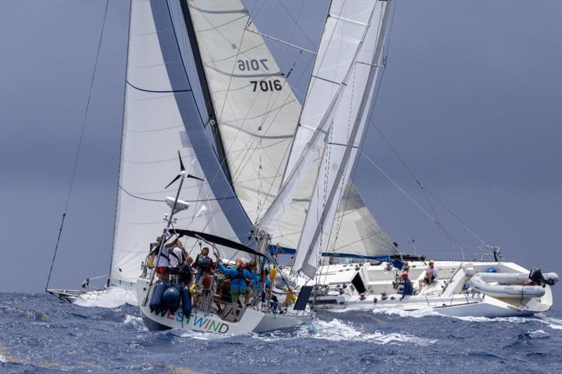Antigua Sailing Week 2026 - Westwind 'Snubbers' from the Netherlands and Hotel California Too - photo © Tim Wright / www.Photoaction.com / ASW