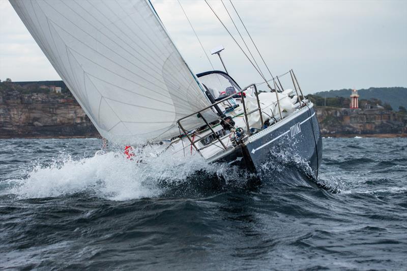 2025 ACSBWPS Bird Island Race - photo © Ashley Dart / CYCA