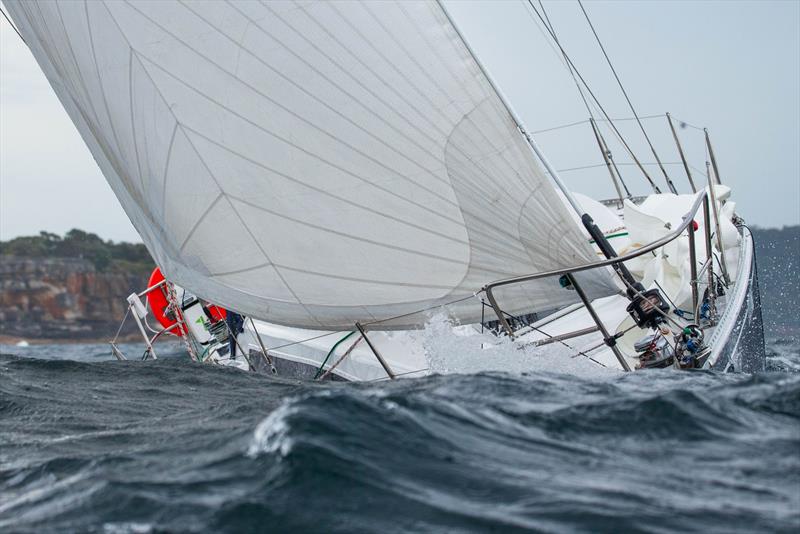 2025 ACSBWPS Bird Island Race - photo © Ashley Dart / CYCA