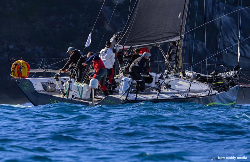 Minerva - 2026 Syd to GC Race - photo © Bow Caddy Media