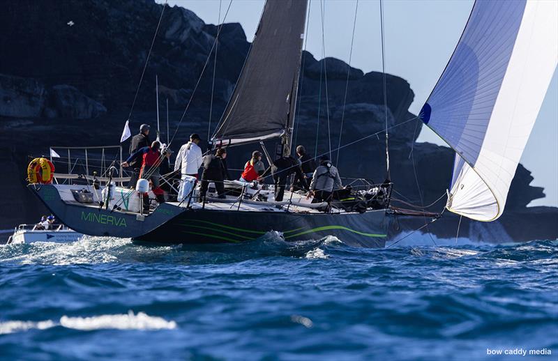 Minerva - 2026 Syd to GC Race - photo © Bow Caddy Media