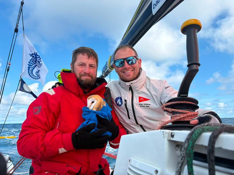 Little Reg (or Regina) rescued by the crew of Fujitsu British Soldier - 2026 RORC Round Britain and Ireland Race day 12 - photo © Fujitsu British Soldier
