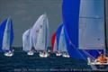 Storm Trysail Club Ted Hood Regatta 2026