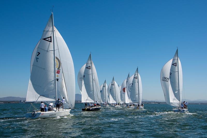 International Masters Regatta at San Diego day 2 photo copyright Alex Pupko & Tom Walker / San Diego Yacht Club taken at San Diego Yacht Club and featuring the J105 class