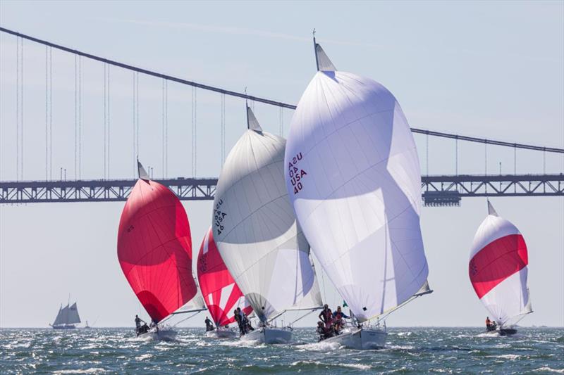 Ryan Simmons' Blackhawk won the J/105 fleet and a Rolex timepiece - Rolex Big Boat Series photo copyright Rolex / Sharon Green taken at St. Francis Yacht Club and featuring the J105 class