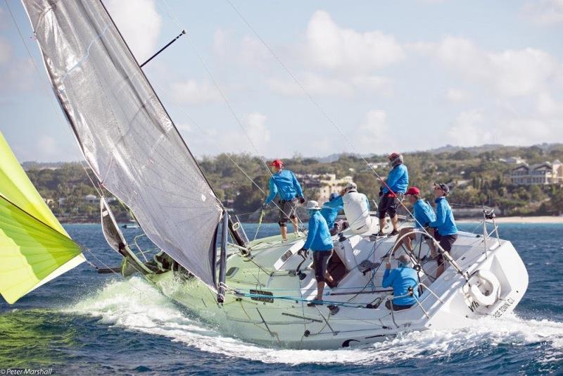 Peter Lewis and his local team aboard J/105 'Whistler' photo copyright Peter Marshall taken at Barbados Cruising Club and featuring the J105 class