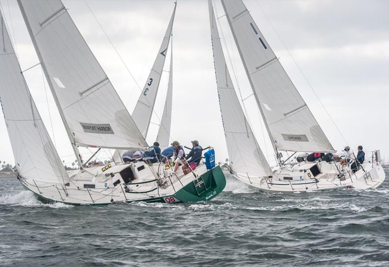 2019 Sir Thomas Lipton Challenge Cup - photo © Mark Albertazzi