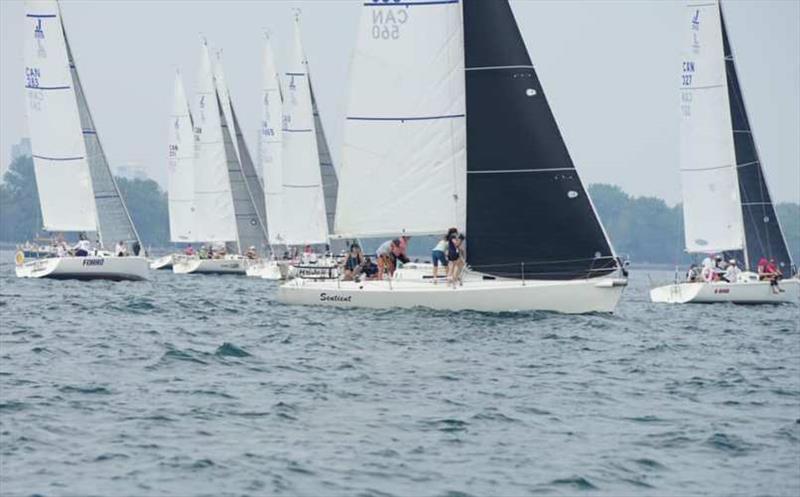 Inaugural J/105 Ontario Women's Championships photo copyright J/105 Fleet 4 Women’s Racing taken at Royal Canadian Yacht Club and featuring the J105 class