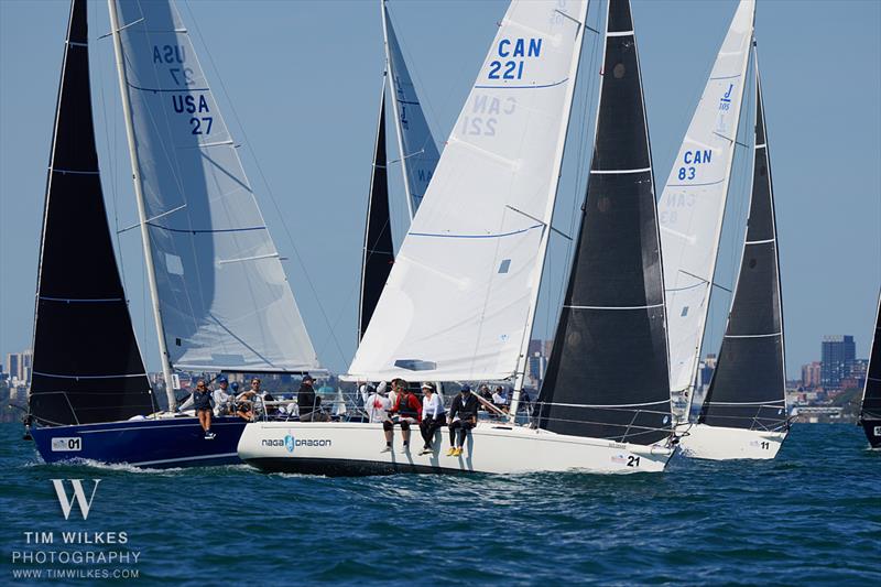 J/105 North American Championship 2025 photo copyright Tim Wilkes Photography taken at Royal Canadian Yacht Club and featuring the J105 class