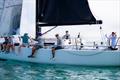 Miami to Nassau Cup Race © Carol Ewing