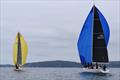 Mojito, following Darling down to the third mark - Pwllheli Autumn challenge series © Gerallt Williams