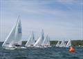 Racecourse action at the Jackrabbit J/22 Regatta © Jackrabbit J/22 Regatta