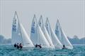 J/22 North American Championship final day © Gretchen Dorian