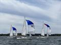 J/22 racecourse action on the waters off of the Fort Worth Boat Club © the Fort Worth Boat Club