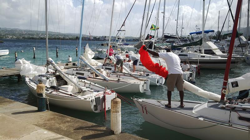 Jamin Jamaica J/22 Regatta - photo © Jamin Jamaica J/22 Regatta