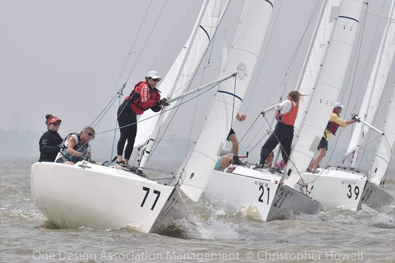 2018 J/22 Midwinter Championship - Day 2 - photo © Christopher Howell
