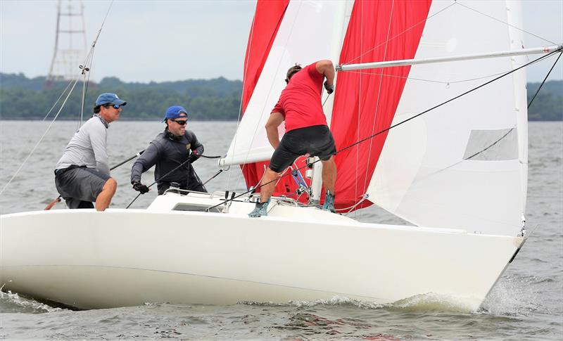 Jeff Todd and the J/22 Hot Toddy - 2020 Helly Hansen NOOD Regatta Annapolis photo copyright Will Keyworth taken at Annapolis Yacht Club and featuring the J/22 class