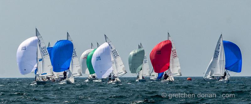 J/22 North American Championship final day - photo © Gretchen Dorian