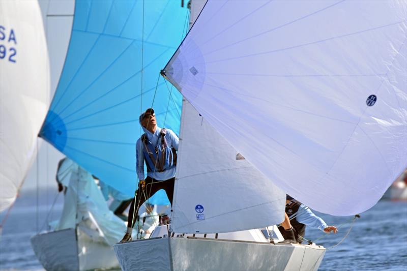 J/22 North American Championship 2025 photo copyright J/22 International Class Association taken at Rochester Yacht Club and featuring the J/22 class