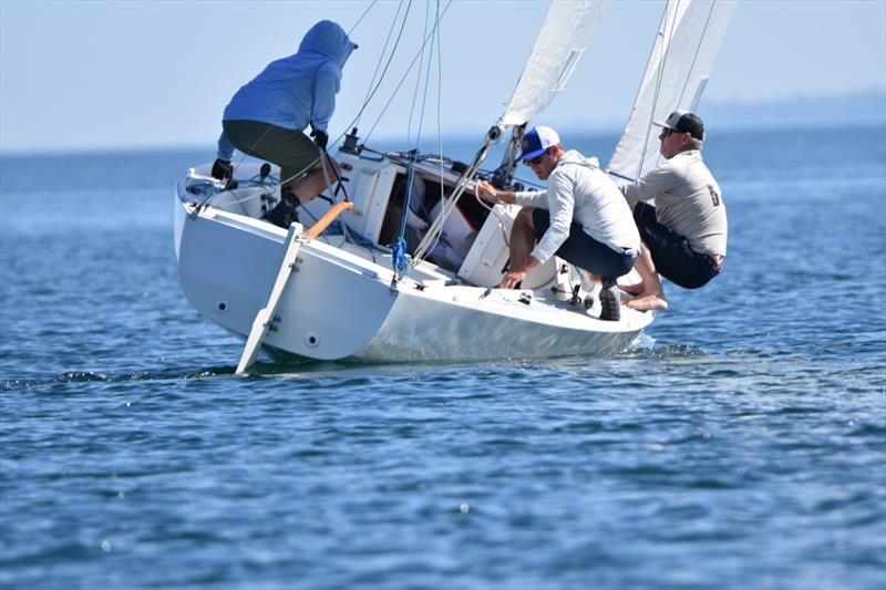 J/22 North American Championship 2025 photo copyright J/22 International Class Association taken at Rochester Yacht Club and featuring the J/22 class