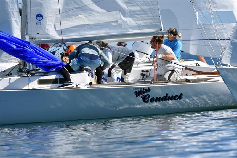 J/22 North American Championship 2025 photo copyright J/22 International Class Association taken at Rochester Yacht Club and featuring the J/22 class