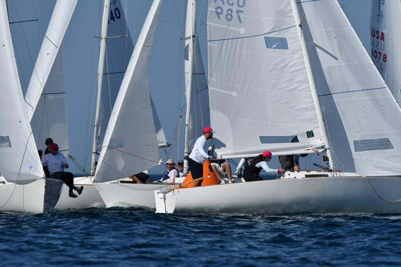 J/22 North American Championship 2025 photo copyright J/22 International Class Association taken at Rochester Yacht Club and featuring the J/22 class