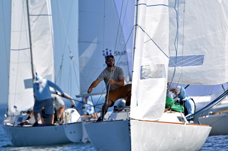 J/22 North American Championship 2025 photo copyright J/22 International Class Association taken at Rochester Yacht Club and featuring the J/22 class