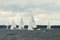 2021 J/24 US National Championship - Final Day © Christopher Howell