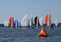 2023 J/24 Midwinter Championship - Final Day © Christopher Howell