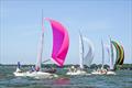 2023 J/24 North American Championship © Christopher Howell